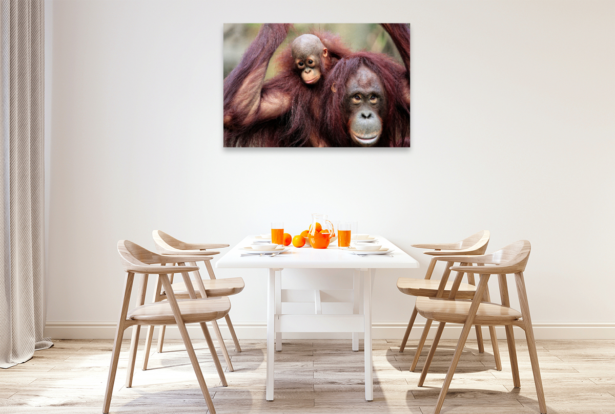 Orang-Utan Mutter mit Kind