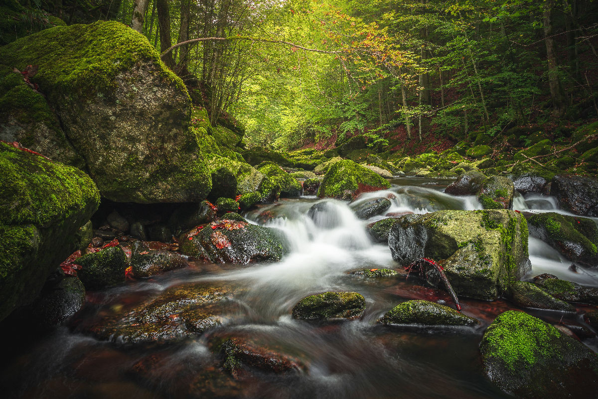 Wildbachklamm Buchberger Leite