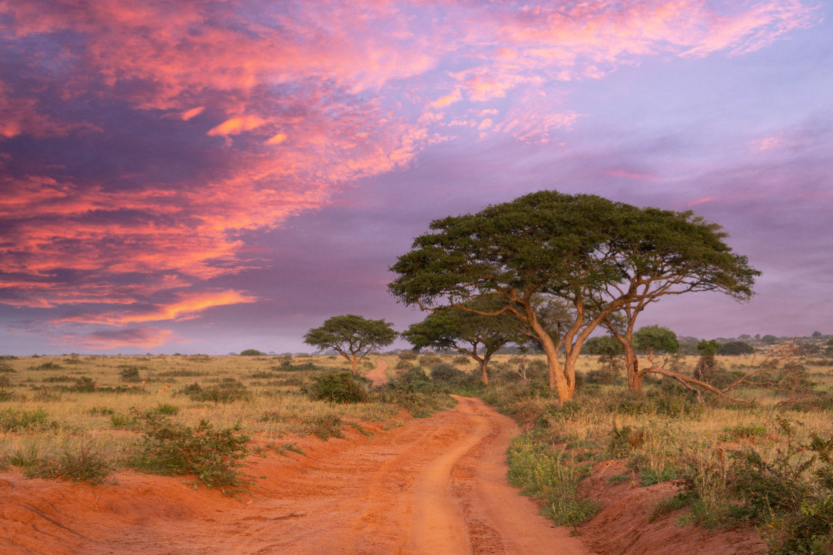 Abendstimmung im Murchison Falls Nationalpark