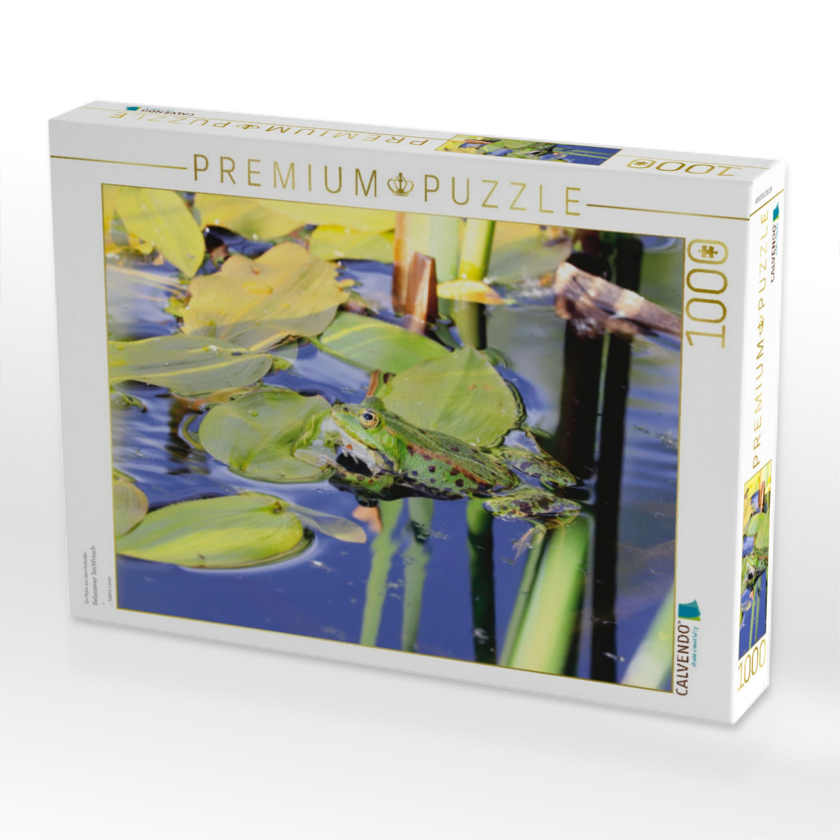 Gelassener Teichfrosch
