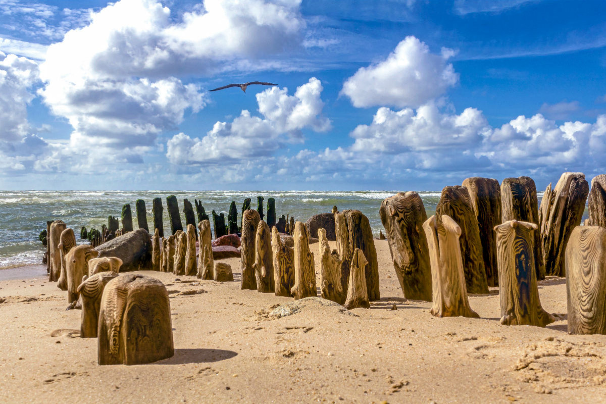 Buhnen am Sandstrand von Sylt