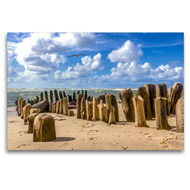 Buhnen am Sandstrand von Sylt