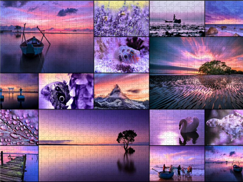 Purple Journey