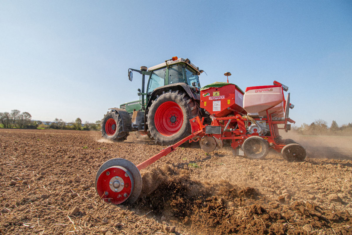 Maisaussaat mit Fendt Favorit 511 C