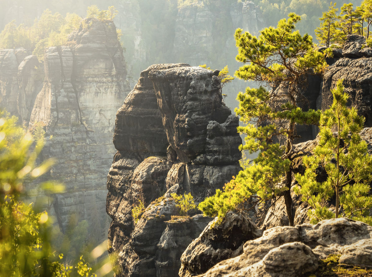 Bärenhornaussicht in der Sächsischen Schweiz