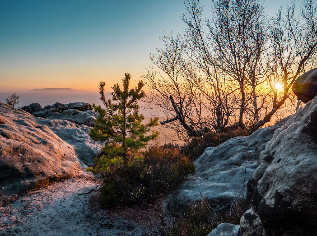 Gohrisch - Aussicht Richtung Hoher Schneeberg