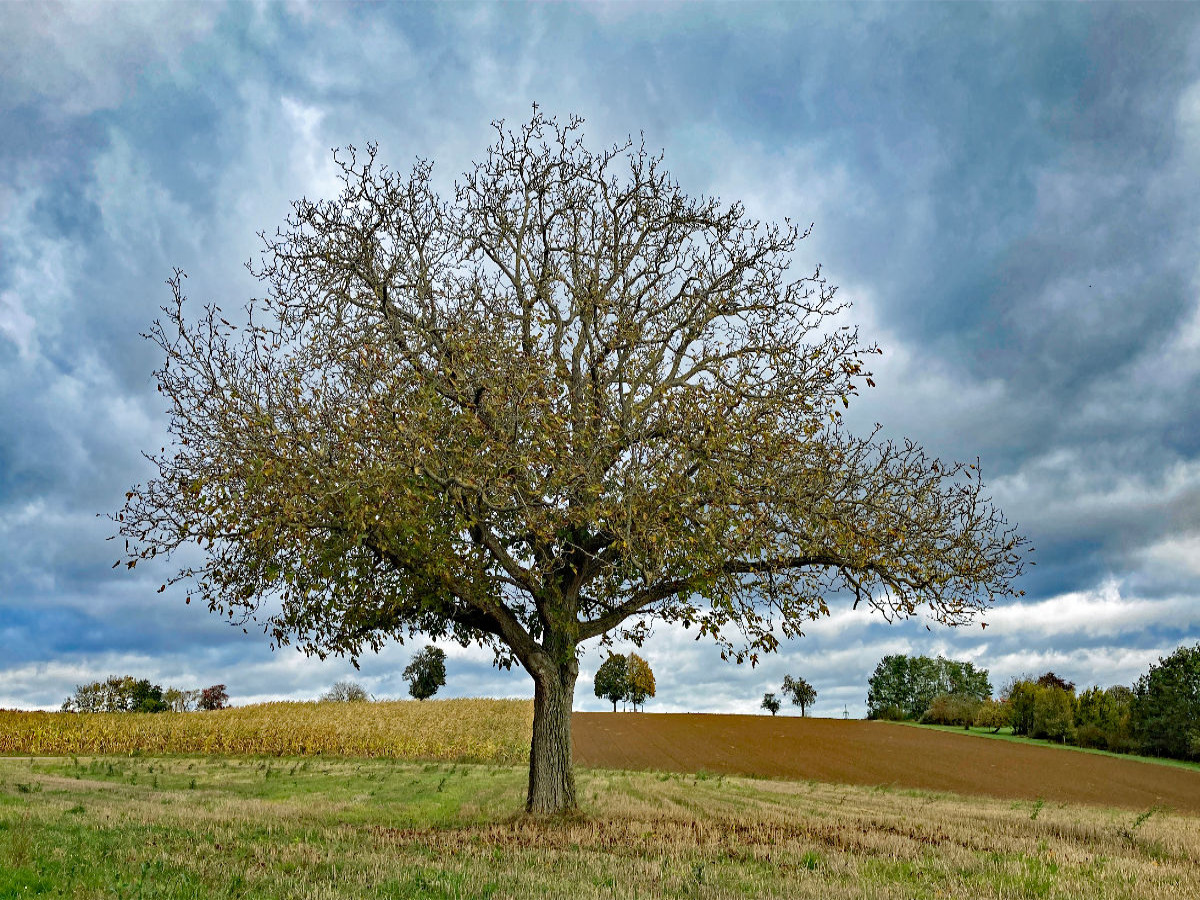 Oktober