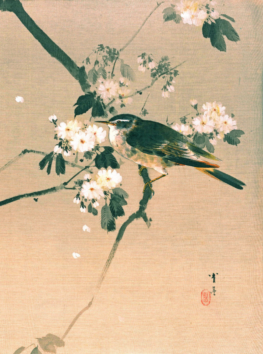 Watanabe Seitei (1851–1918): Vogel auf einem blühenden Ast, ca. 1887