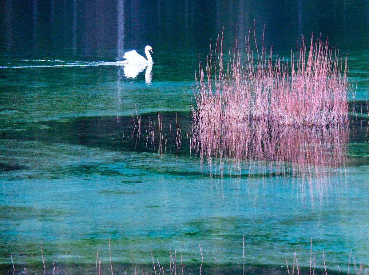 Isarstausee