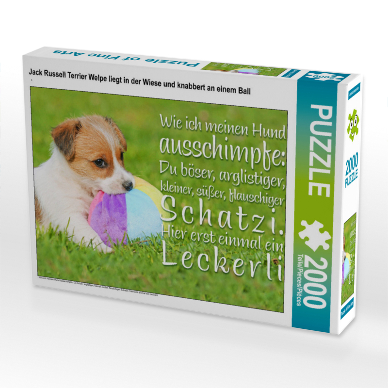 Jack Russell Terrier Welpe liegt in der Wiese und knabbert an einem Ball