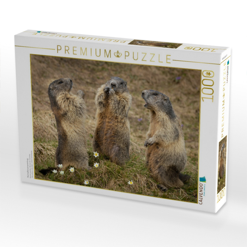 Murmeltierversammlung
