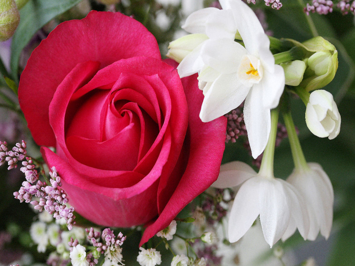 Ein Motiv aus dem Kalender Blumenpracht - Blüten und Sträuße