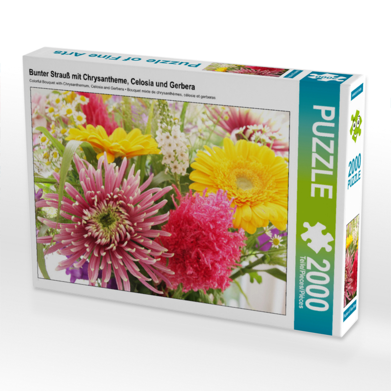 Bunte Mischung mit Chrysantheme