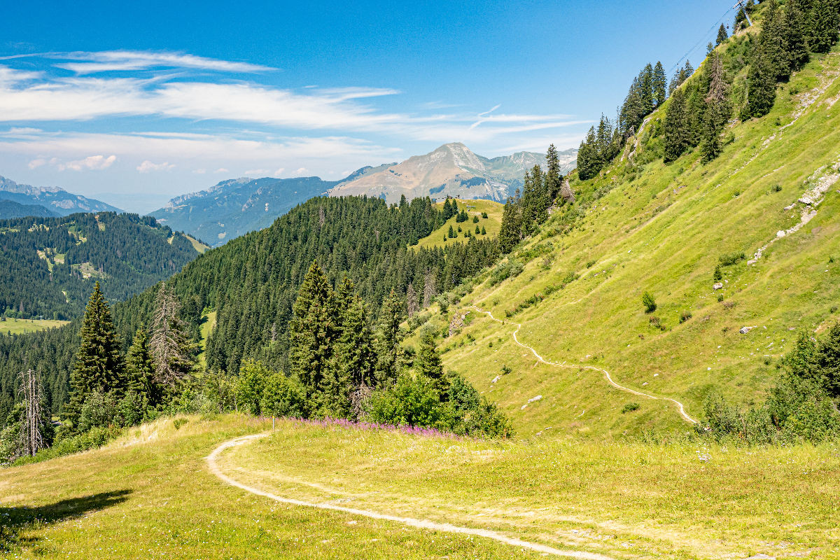 Blick auf die Ebene des Col de Joux