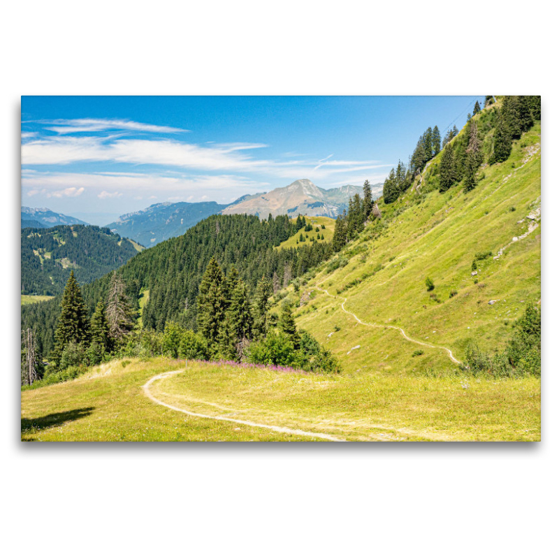 Blick auf die Ebene des Col de Joux