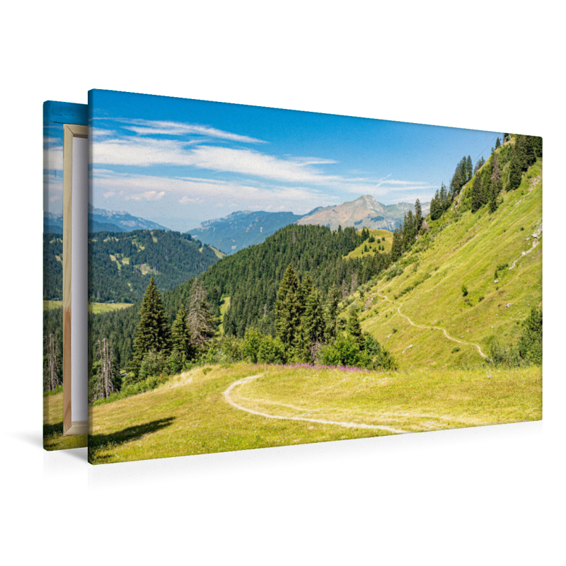 Blick auf die Ebene des Col de Joux