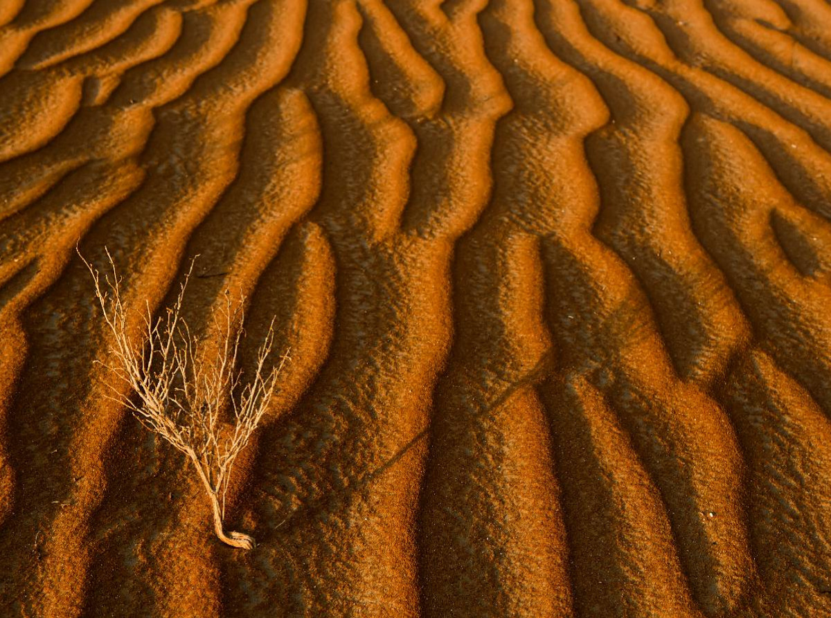 Wüste Rub al Khali