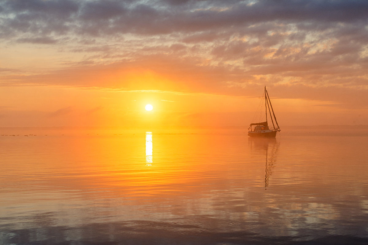 nebeliger Sonnenaufgang über der Müritz