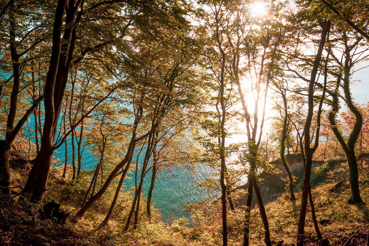 Herbst an der Kreideküste