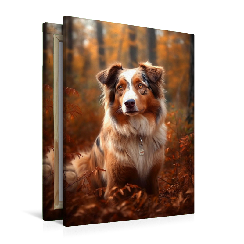 Ein Motiv aus dem Kalender Australian Shepherd