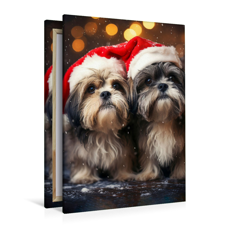 Shih Tzu, wann kommt endlich der Weihnachtsmann