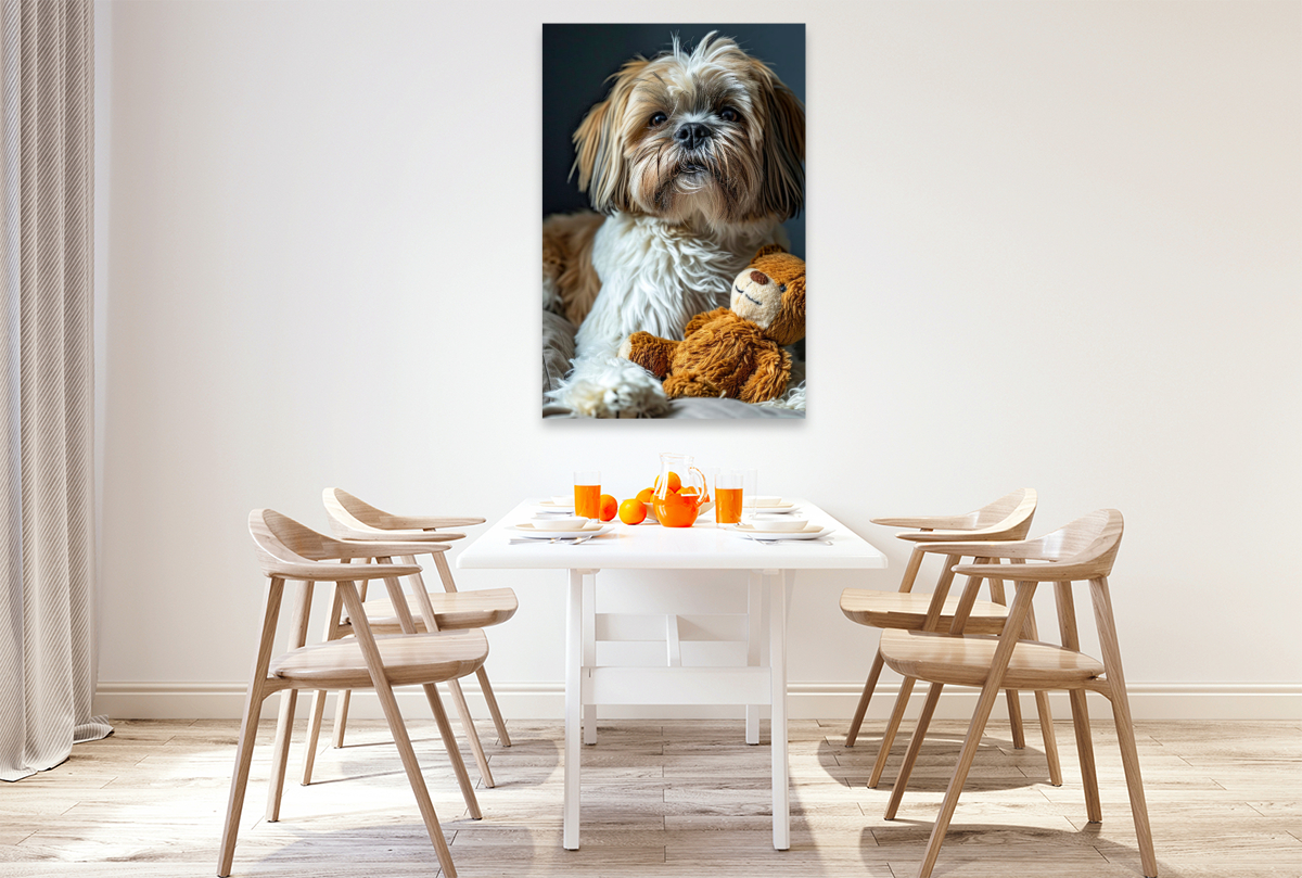 Shih Tzu, mein Lieblingsspielzeug