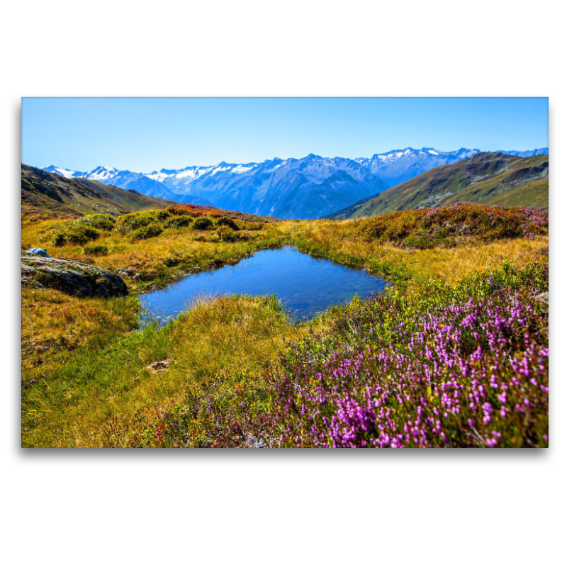 Eine kleine Herzlacke am Laubkogel