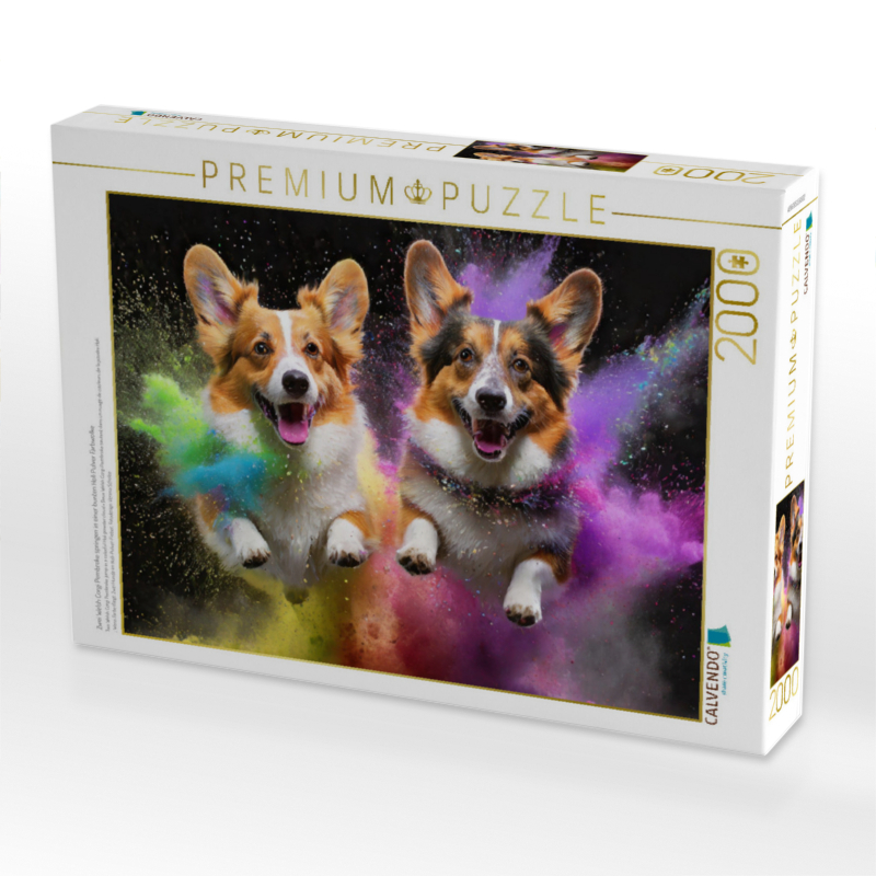 Zwei Welsh Corgi Pembroke springen in einer bunten Holi Pulver Farbwolke