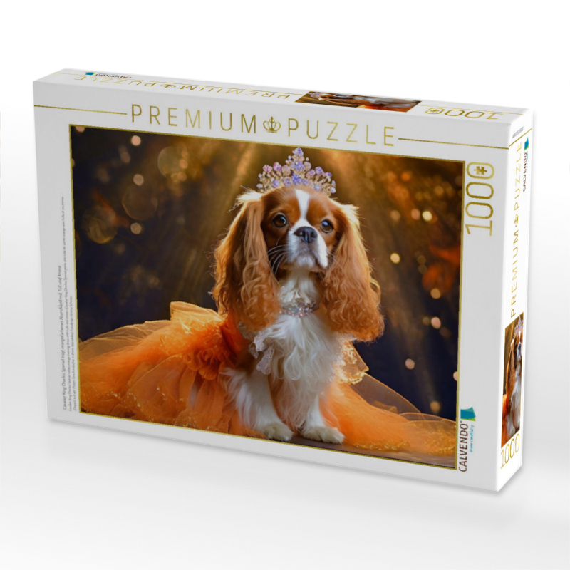 Cavalier King Charles Spaniel trägt orangefarbenes Abendkleid mit Tüll und Krone