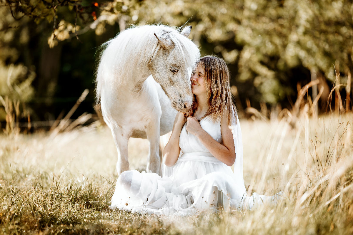 Shettland Pony