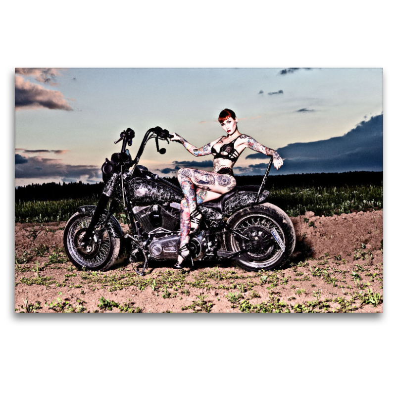 Softail Slim Bj.2015 mit Wildcat_Ink