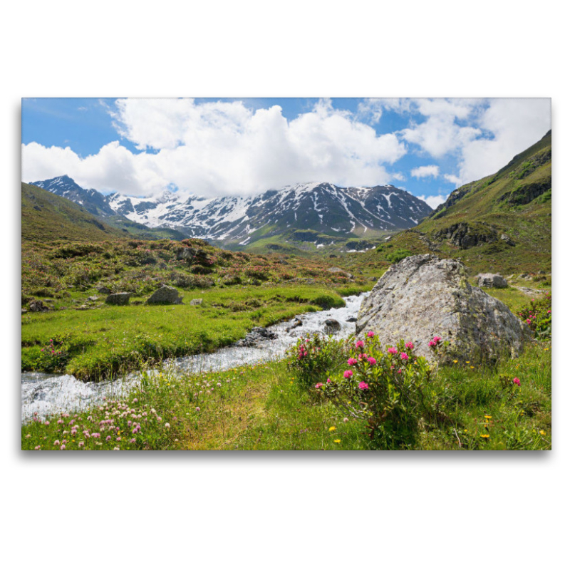 Blühende Alpenrosen am Dürrboden