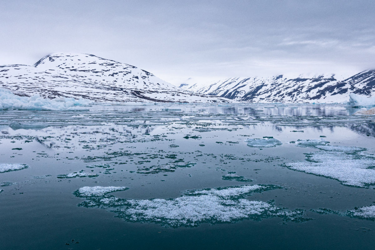 Arktische Fjordlandschaft