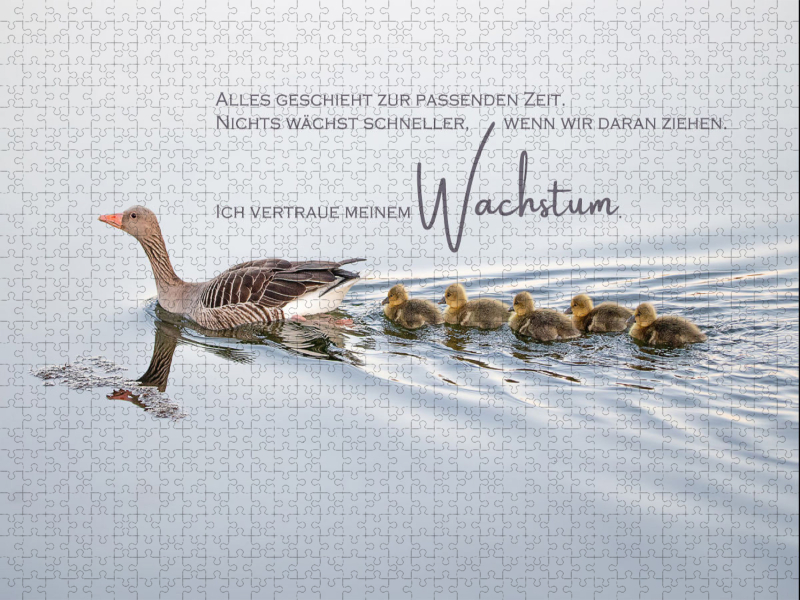 Wachstum