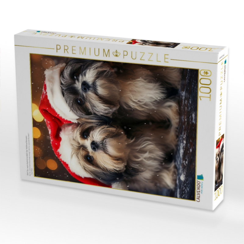 Shih Tzu, wann kommt endlich der Weihnachtsmann