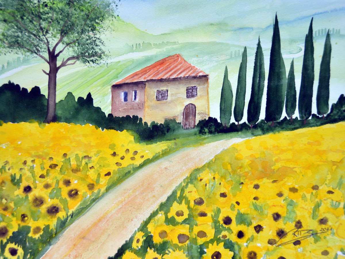 Sonnenblumen in der Maremma