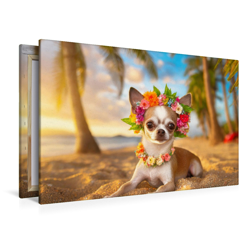 Chihuahua mit einem Blütenkranz liegt am Strand im Sonnenuntergang