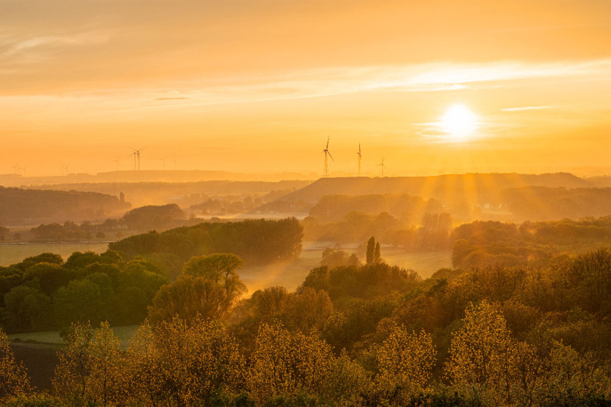 Halde Norddeutschland, Niederrhein