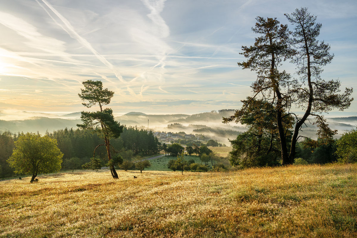 Morgennebel über der Hochheide