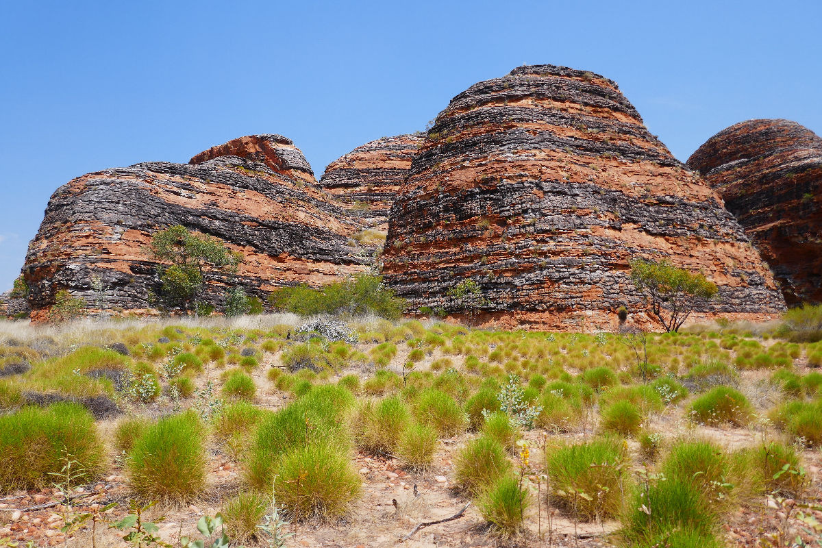 Bungle Bungle im Purnululu Nationalpark