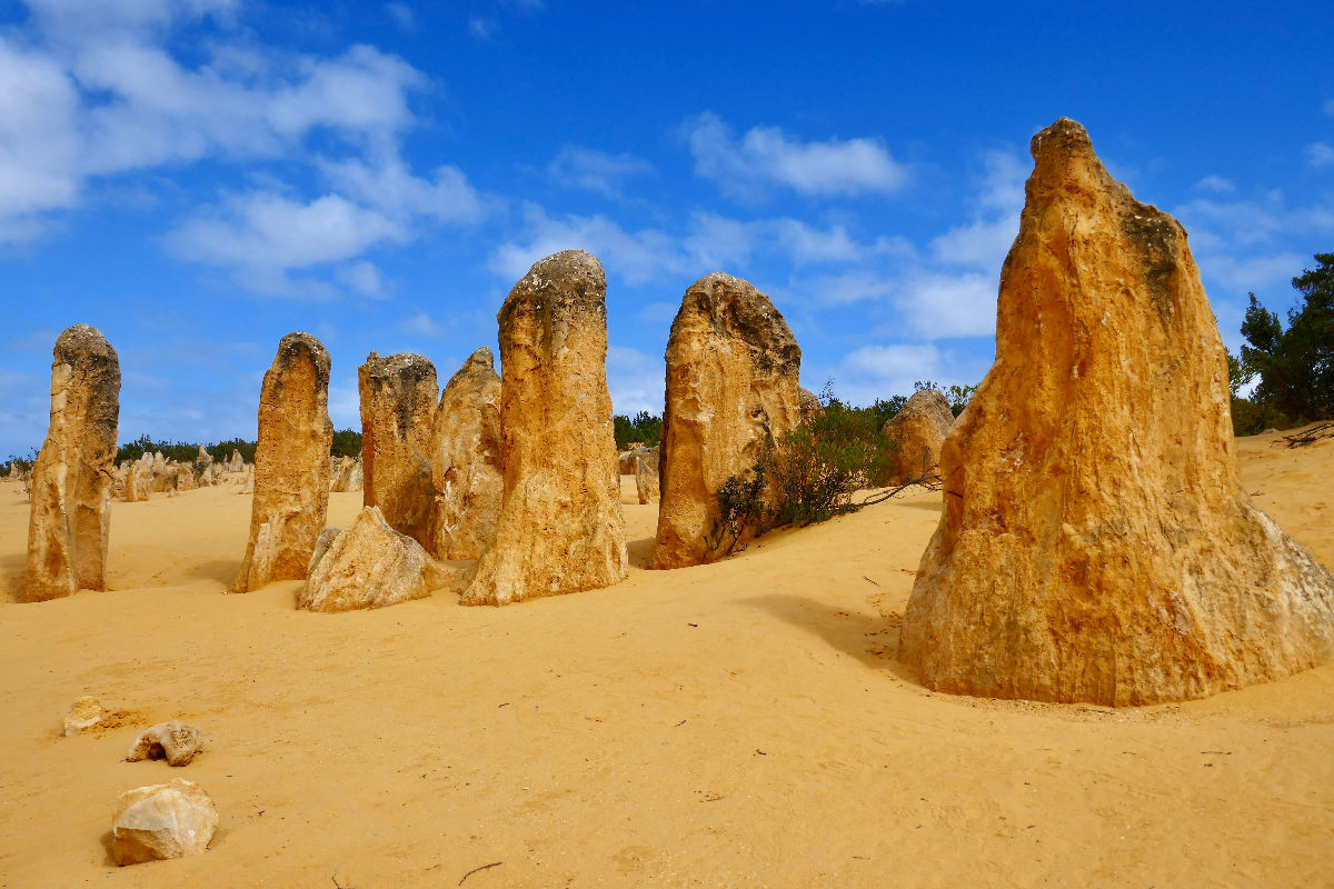 Pinnacles im Nambung National Park