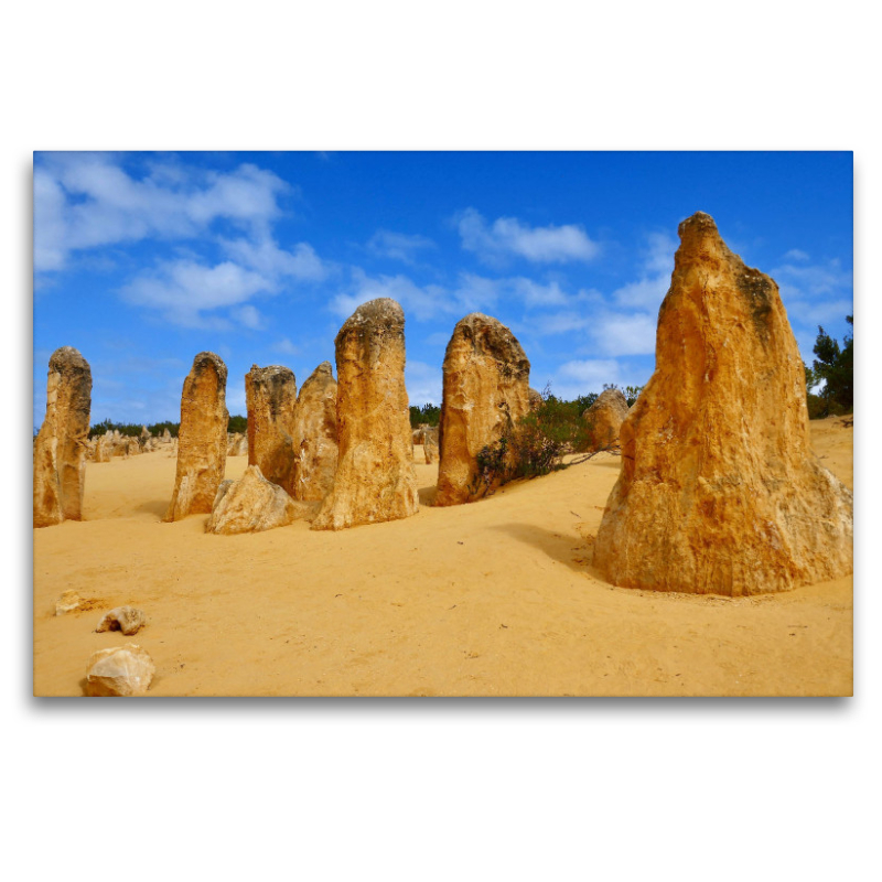 Pinnacles im Nambung National Park