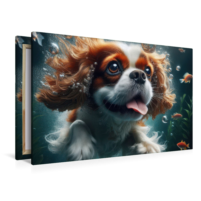 King Charles Cavalier Spaniel taucht begeistert unter Wasser