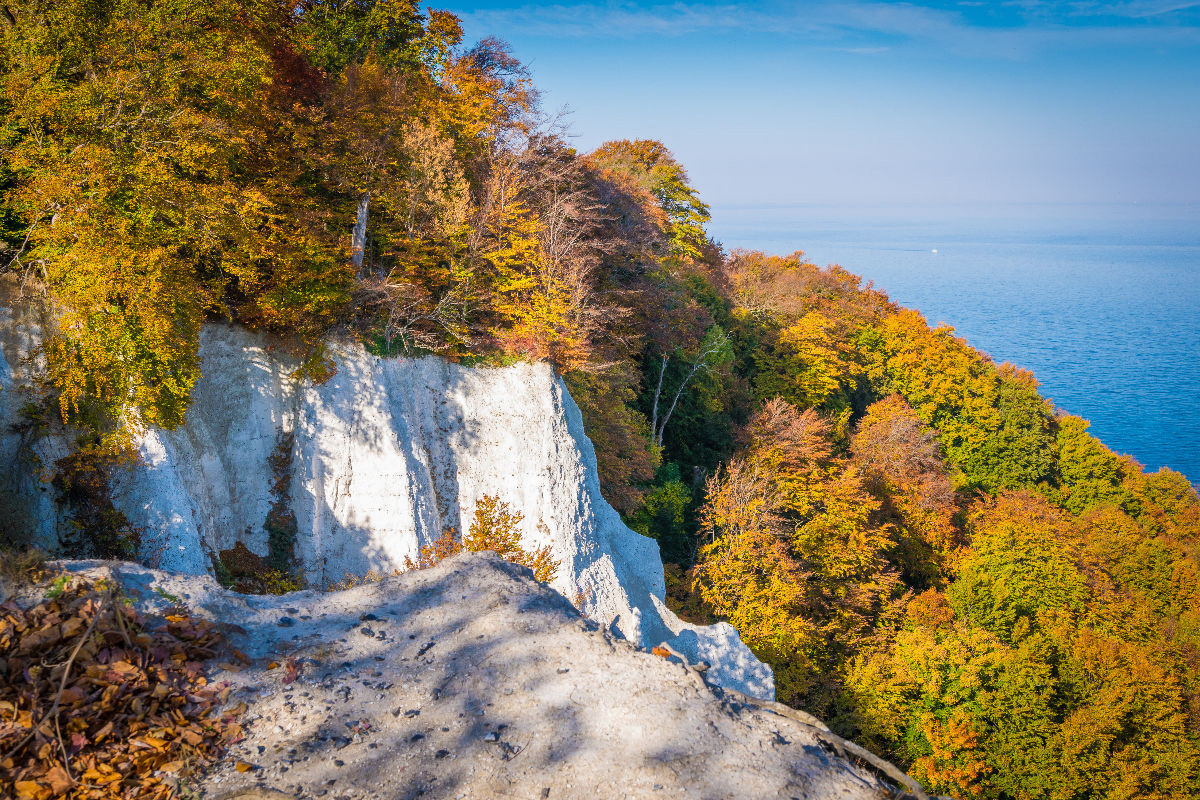 Blick vom Königsstuhl