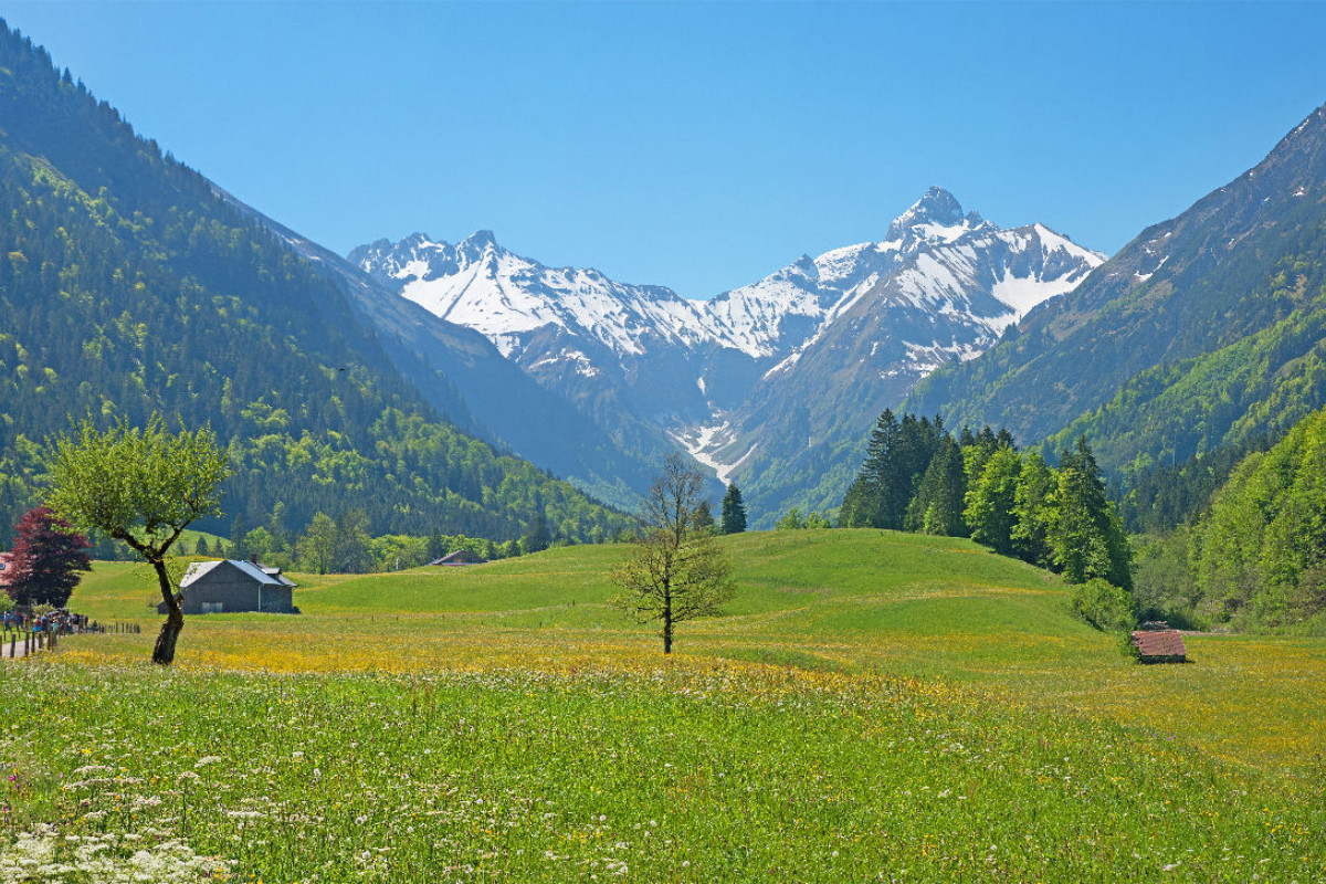 Frühling im Trettachtal