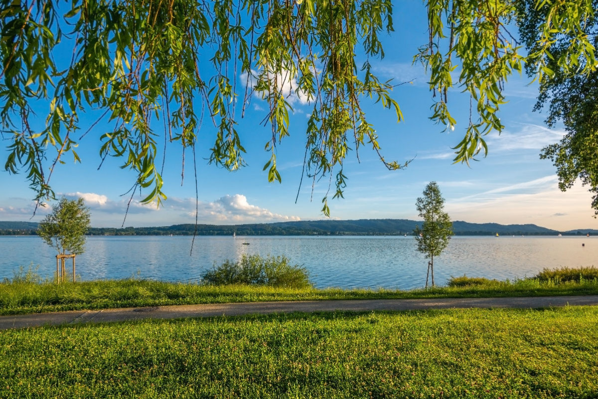 Frühlingserwachen Mettnau Park