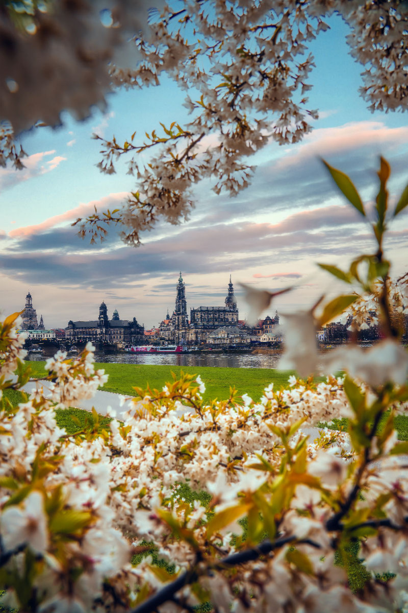 Dresden im Frühling