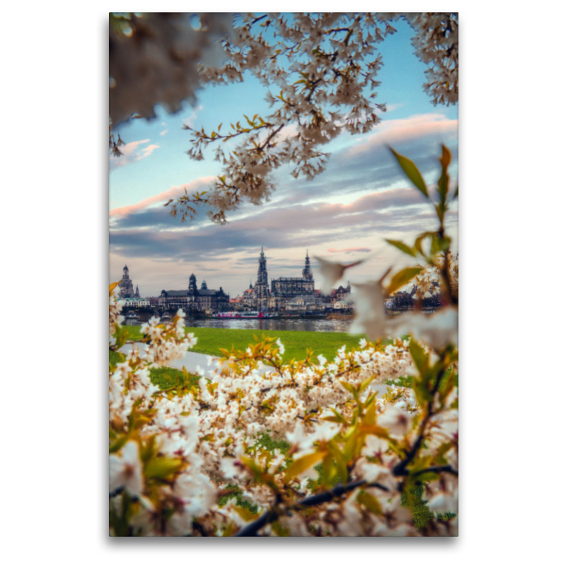 Dresden im Frühling