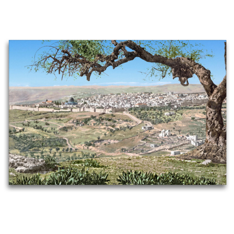 Jerusalem – Panoramasicht vom Mount Scopus um 1900