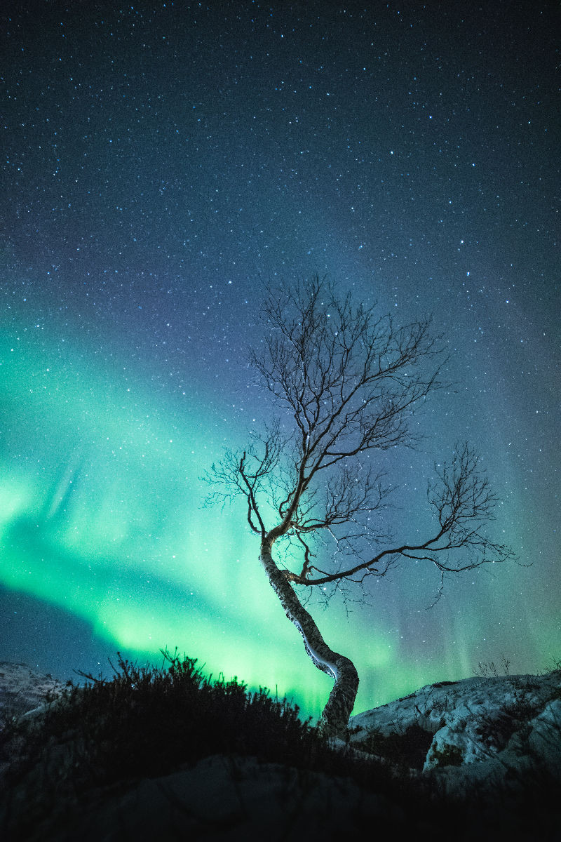 Ein Motiv aus dem Kalender Nordlichter – Farbenspiel der Nacht